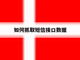 如何抓取短信接口数据