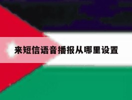 来短信语音播报从哪里设置