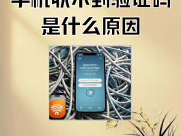 政务服务网验证码短信收不到