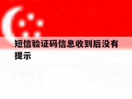 短信验证码信息收到后没有提示