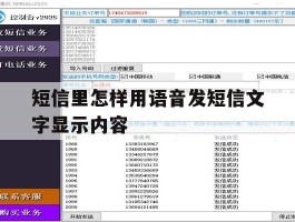 短信里怎样用语音发短信文字显示内容