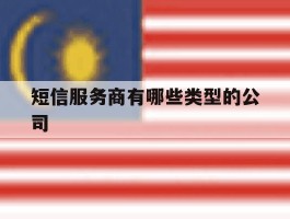 短信服务商有哪些类型的公司