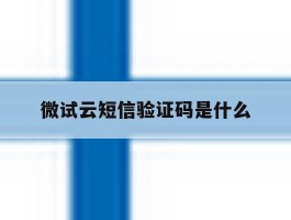 包含微试云短信验证码是什么的词条