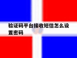 验证码平台接收短信怎么设置密码