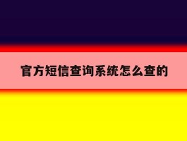 官方短信查询系统怎么查的