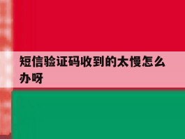 短信验证码收到的太慢怎么办呀