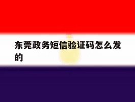 东莞政务短信验证码怎么发的