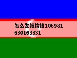 关于怎么发短信给106981630163331的信息