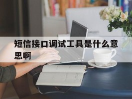 短信接口调试工具是什么意思啊