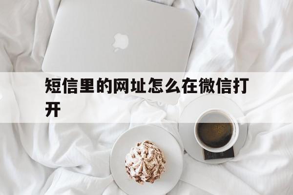 短信里的网址怎么在微信打开 短信里的网址怎么在微信打开