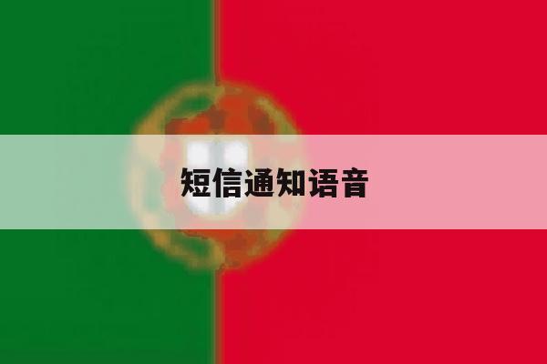 短信通知语音 短信通知语音