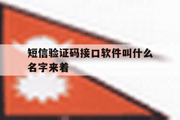 短信验证码接口软件叫什么名字来着 短信验证码接口软件叫什么名字来着