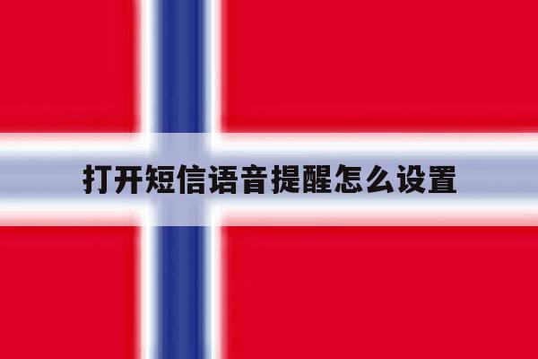 打开短信语音提醒怎么设置 打开短信语音提醒怎么设置