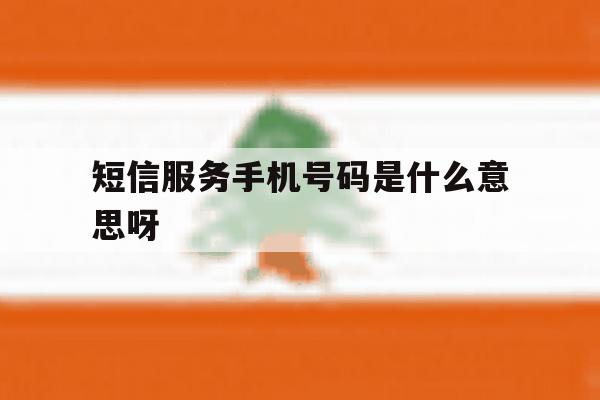 短信服务手机号码是什么意思呀 短信服务手机号码是什么意思呀