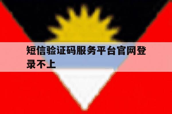 短信验证码服务平台官网登录不上
