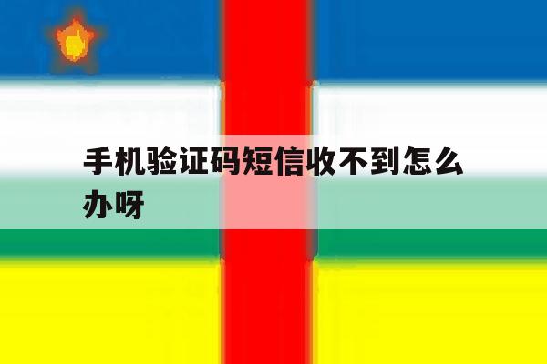 手机验证码短信收不到怎么办呀 手机验证码短信收不到怎么办呀