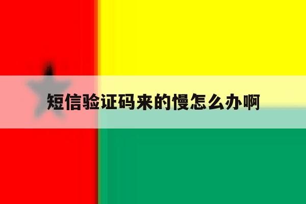 短信验证码来的慢怎么办啊 短信验证码来的慢怎么办啊