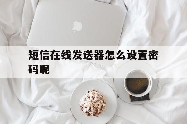 短信在线发送器怎么设置密码呢 短信在线发送器怎么设置密码呢