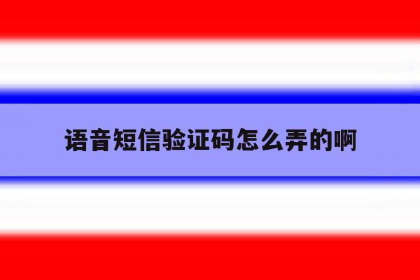 语音短信验证码怎么弄的啊 语音短信验证码怎么弄的啊