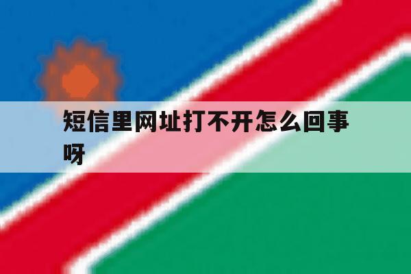 短信里网址打不开怎么回事呀 短信里网址打不开怎么回事呀