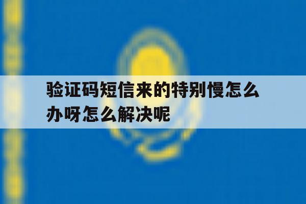 验证码短信来的特别慢怎么办呀怎么解决呢的简单介绍 验证码短信来的特别慢怎么办呀怎么解决呢的简单介绍