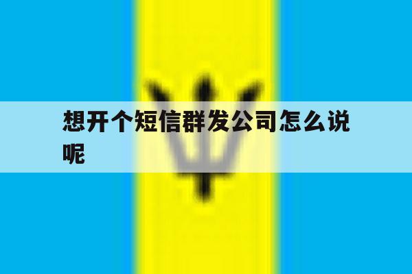 想开个短信群发公司怎么说呢 想开个短信群发公司怎么说呢
