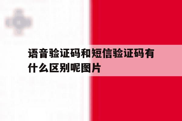 语音验证码和短信验证码有什么区别呢图片 语音验证码和短信验证码有什么区别呢图片