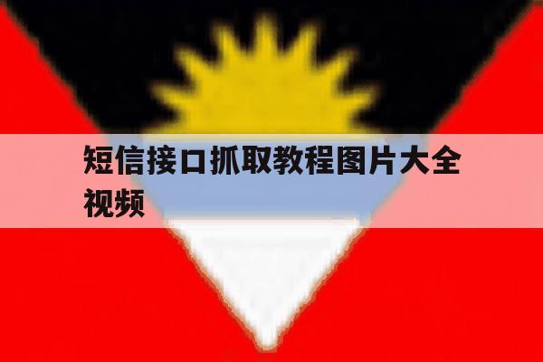 短信接口抓取教程图片大全视频 短信接口抓取教程图片大全视频