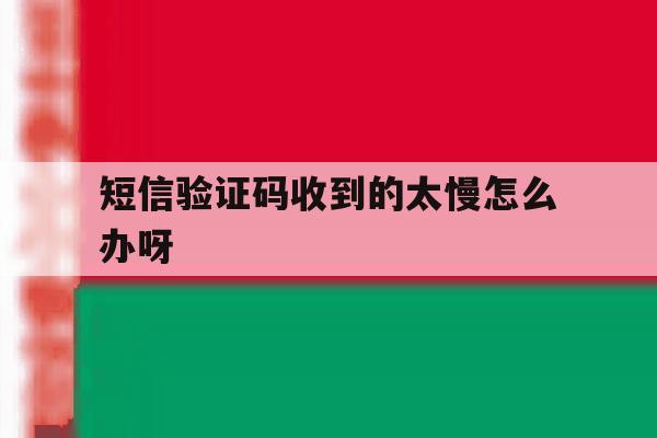 短信验证码收到的太慢怎么办呀 短信验证码收到的太慢怎么办呀