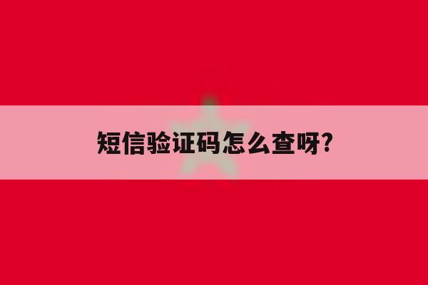 短信验证码怎么查呀? 短信验证码怎么查呀?